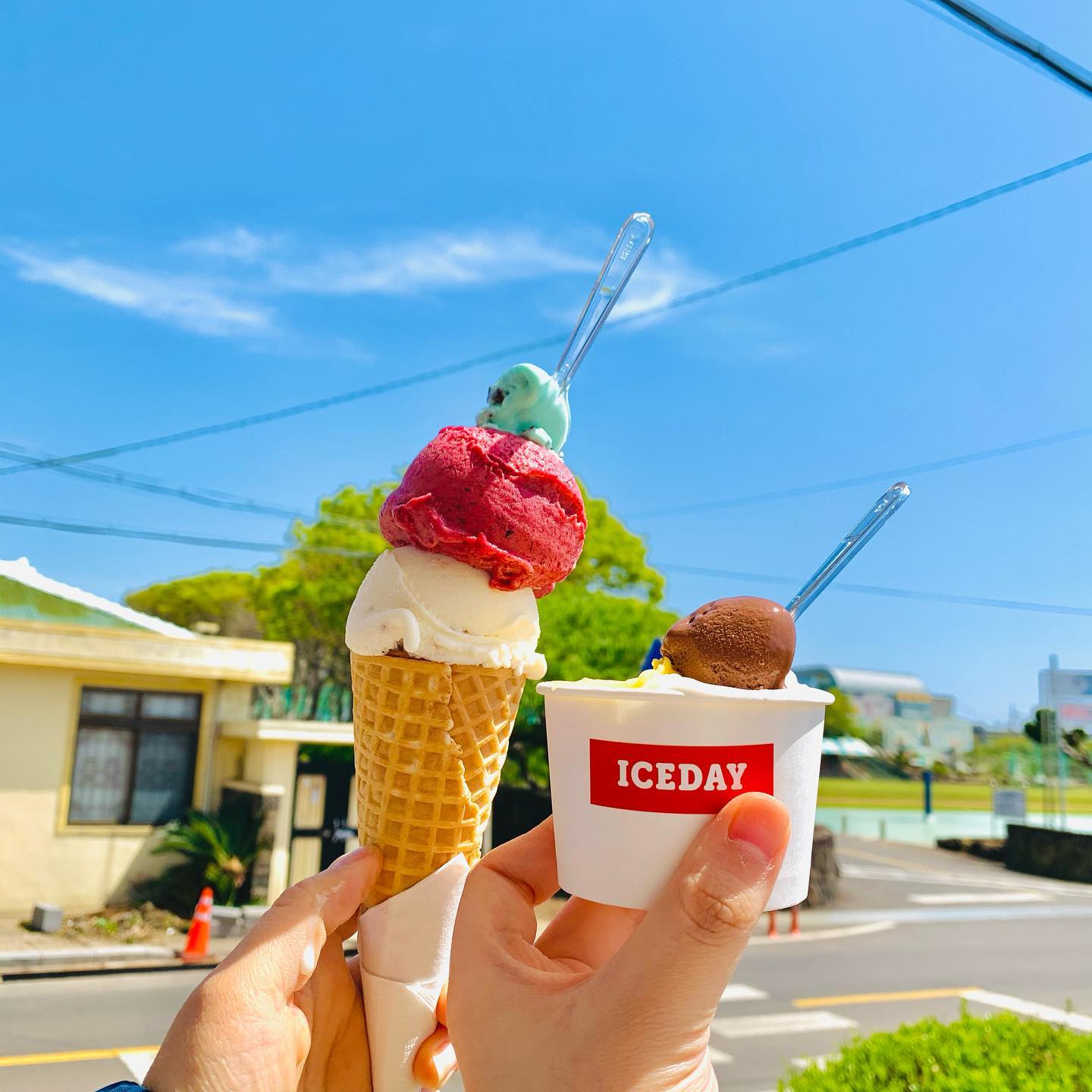 한림에 있는 젤라또 맛집, 아이스데이✨

오늘 날씨 진짜 하늘 맑고 예뻐서 주변에 걷기로 하고 걷다가 젤라또가게가 주변에 있다고 해서 다녀왔어요!
알고보니 여기 이익새양과점 바로 옆에 생긴 곳이었어요. 다양한 젤로또 맛이 있는데 먹고싶은게 많아서 고민하다가 픽한 친구들!

젤라또 130ml 4,000원

백미, 패션망고, 베리믹스, 무화과! 아이스데이의 좋은 점은 가장 작은 젤라또 컵에 두 가지 맛을 담을 수 있습니다. 추가로 맛보기라고 한가지 맛을 더 얻어주셔서 3가지 맛을 즐겨볼 수 있습니다🙌🏻

진짜루 맛있구. 개인적으로는 백미! 입에서 쌀구르는 맛이 진짜 좋았어요✨ 친구는  패션망고가 좋았다고 했고, 망고맛이 조금 더 강한 느낌이 있어요. 무튼 이제 여름도 오니 주변에 오시면 드셔보시길!

포장은 미리 말씀을 해주셔야 급속냉동이 가능하다고 하니 참고하세요!

#아이스데이 #제주아이스데이 #제주젤라또 #젤라또맛집 #한림카페 #한림카페추천 #제주카페 #제주젤라또맛집 #제주도젤라또 #한림읍카페 #젤라또 #백미추천 #먹스타그램 #먹스타맞팔 #먹팔맞팔 #먹팔환영