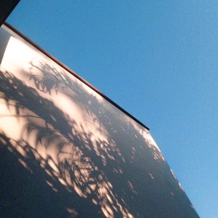 콘텐츠