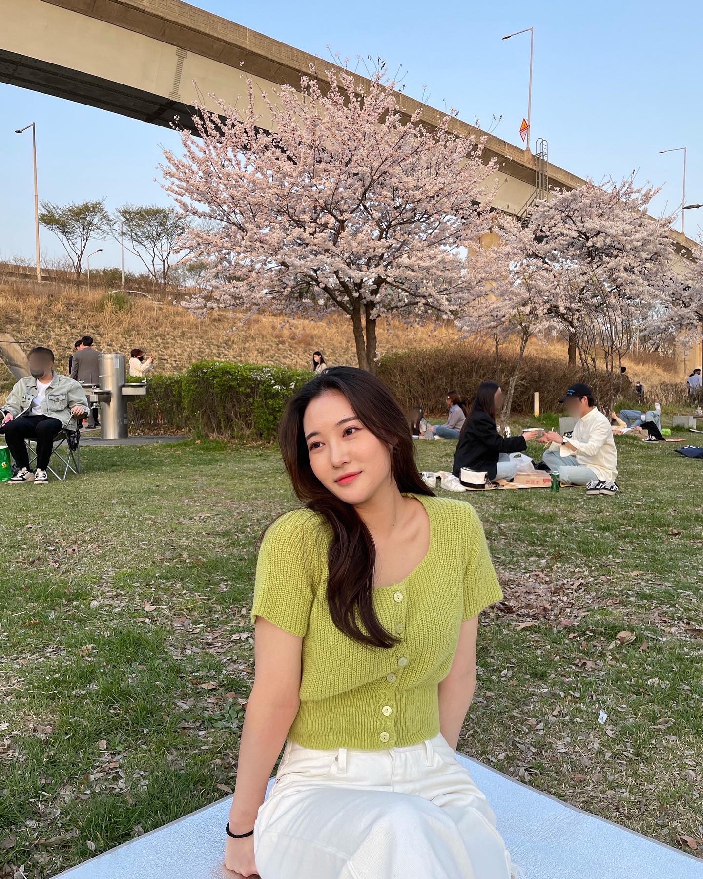 좀 많이 늦은 벚꽃사진🌸