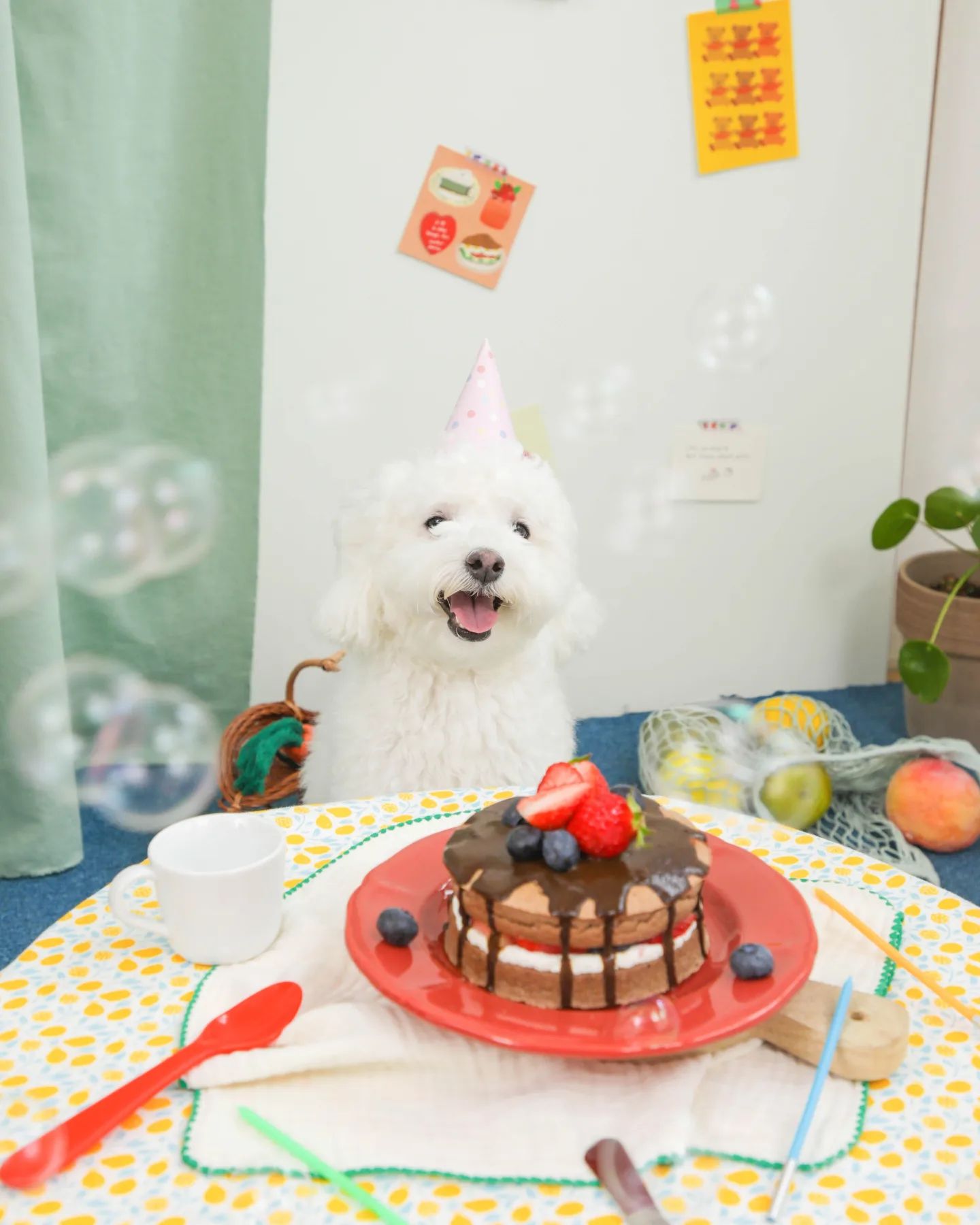 22.03.18 두번째 너의 생일을 기억하며🎂
.
내동생 무병장수해💟
#프롬엘라생일파티컨셉 #호두두번째생일
