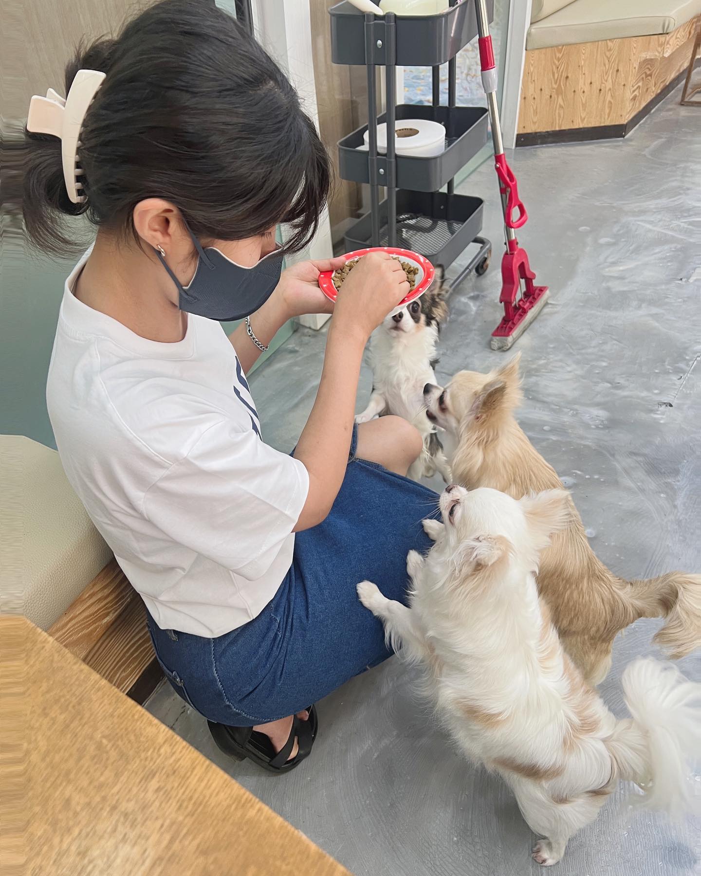 오늘의 데이트

동탄에 있는 소형견 애견카페인
#플레이어스 많은 치와와들을
만나고 왔어요☺️

오픈시간이라 모든 아이들의
사랑을 독차지 하고 왔어요~

#플레이어스애견카페 
#치와와카페 #애견카페 
#소형견카페 #일상스타그램 
#일상그램 #데일리데이트 
#오늘의데이트 #동탄데이트추천 
#아들맘소통해요 #형제맘그램 
#선팔맞팔가요 #일상소통해요