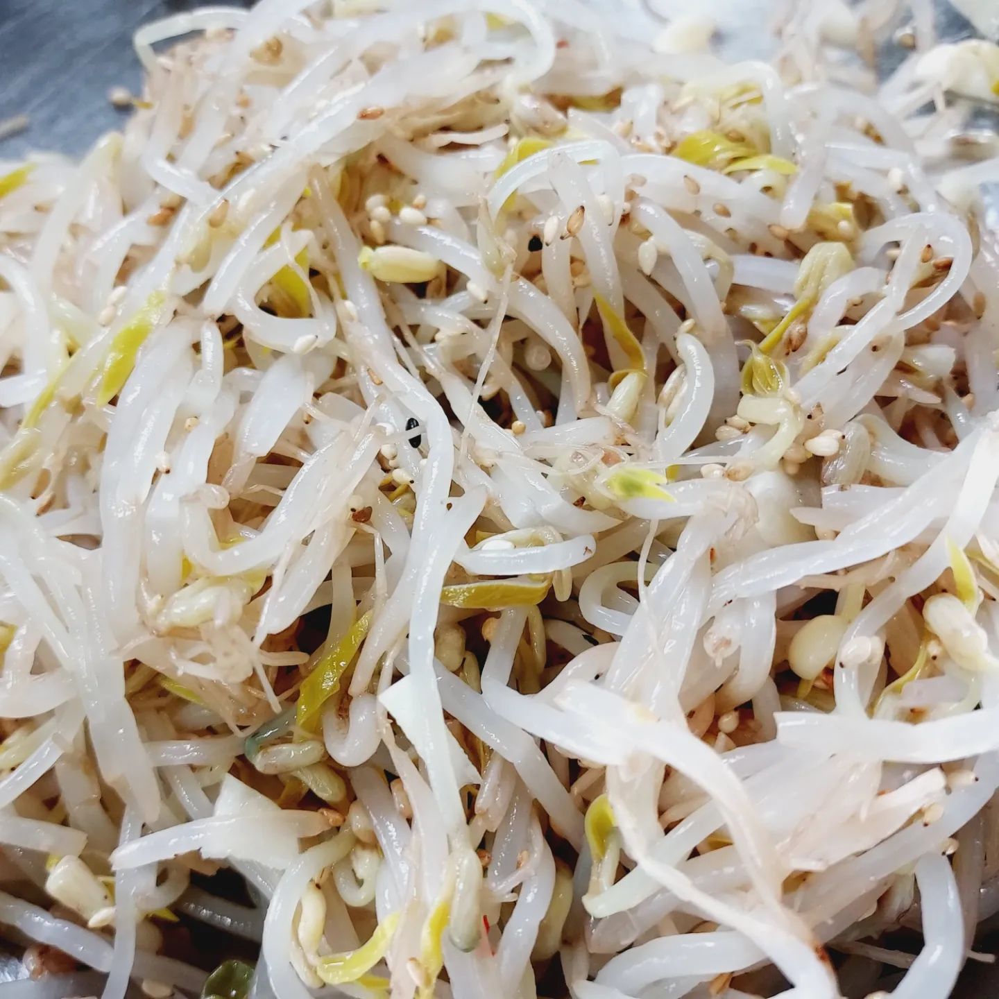 아삭하고 단 맛이 나는 숙주
씁쓸하면서도 향기 좋은 취나물
좋아하는 나물들
고사리도 있는데 못찍었다.
자라는데 많은 에너지가 필요하지 않는데다
조리과정도 데치고 무치면 끝이어서 탄소배출이 적다.

#서울혁신파크 #내가그린 #탄소중립챌린지 #한끼채식 #탄소발자국줄이기 #나물