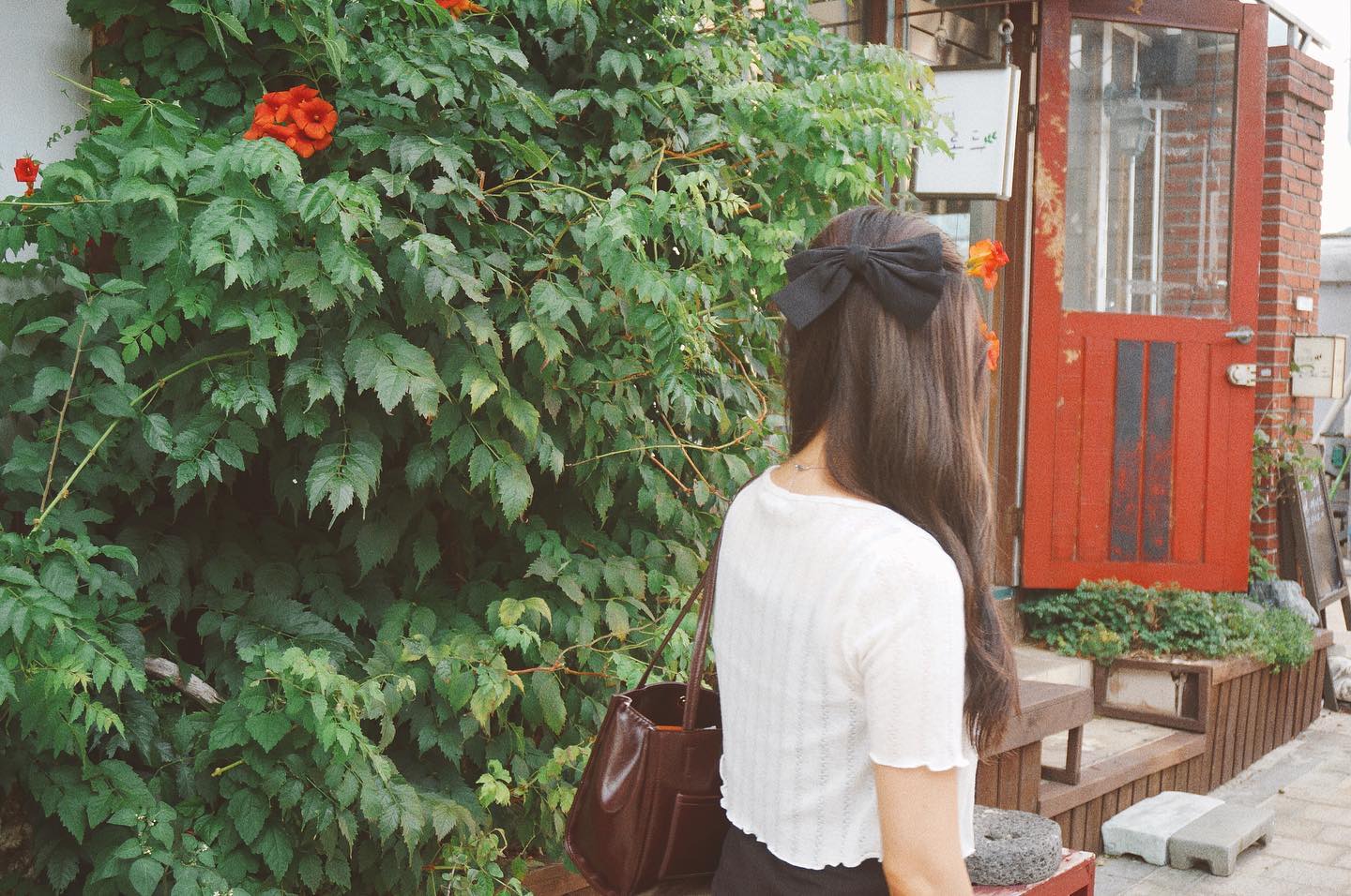 🍁

#가을 #일상 #daily #autumn #cat