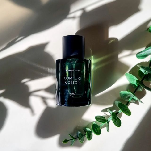 단 아 on Instagram: "#협찬 내 향기가 당신에게 전해지길🌿 창가에 햇살은 비쳐오는데 ᆢ 괜시리 우울한 날에는 좋은 향기가 기분전환이 되는것 같아요! 외출준비 마무리도 꼭 향수로~ 그래야