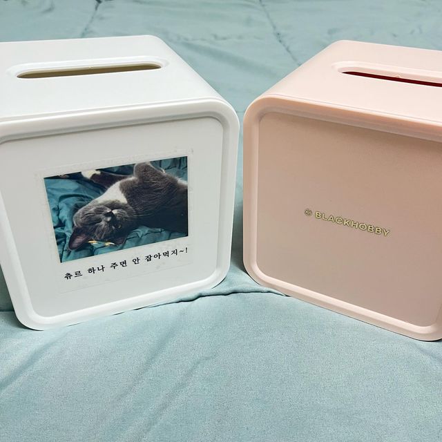 먼지가 되어 on Instagram: "#광고 #협찬 #제품제공 @blackhobby_official 집사님들 이거 보세요 진짜 너무 귀여운 거 가져왔어요 (입틀막 🫢) 사무실에 먼지를 데려갈 수 없어서 먼지가