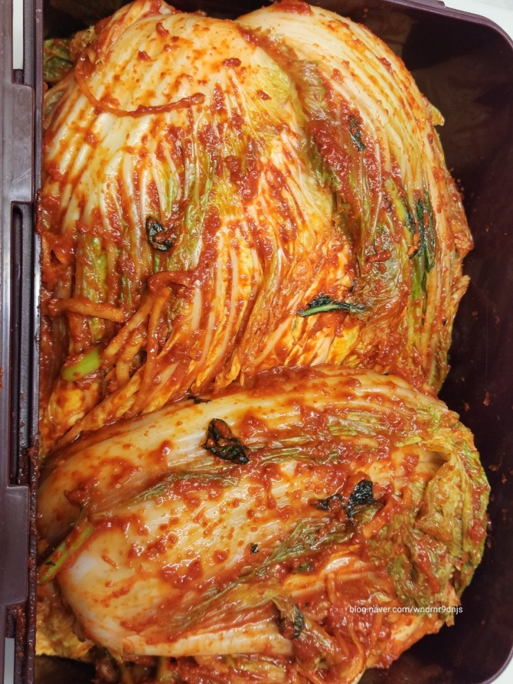 배추김치 만들기 김장김치 쉬운레시피 맛있어요 보쌈김치 만들어요