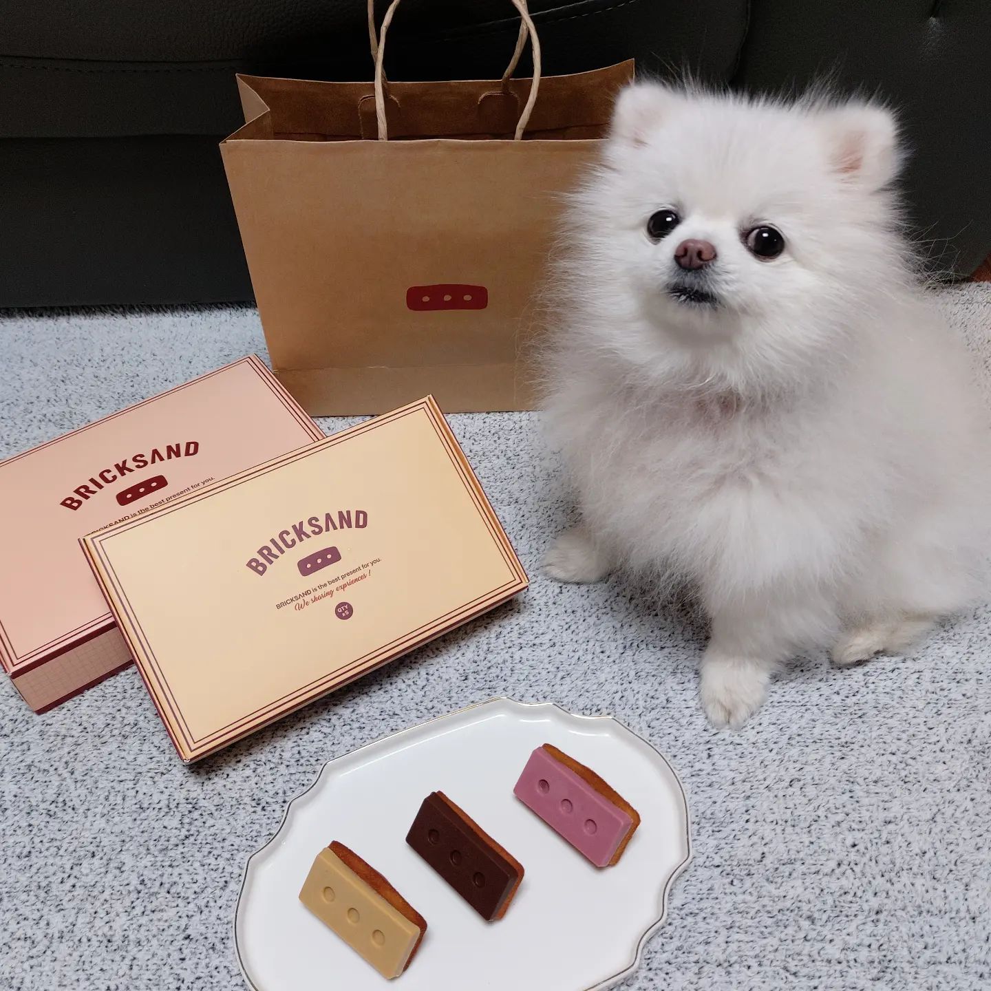 #협찬 #브릭샌드 우리 언니 최애 간식 휘낭시에❤️
(솜이 간식 아님 주의)
.
이번에는 강아지 간식이 아닌(솜이 미안😂) 휘낭시에 전문점 브릭샌드에서 협찬을 받았어요!
알록달록한 벽돌모양 초콜릿이 얹어진 휘낭시에.... 너무 귀엽고 아기자기... 쏘 큩...🥺💓
하나하나 정성들여 개별포장 되어있어서 어디서든 간단히 먹기 좋고, 여러가지 맛과 모양으로 보는 즐거움에 건강한 재료들로 만들어진 디저트!
주변 소중한 사람들에게 간단한 선물이나 연말 선물로도 딱이겠죠?💕
.
.
#협찬 #브릭샌드 #브릭샌드동탄점 #브릭샌드롯데백화점동탄점 #동탄맛집 #동탄디저트 #디저트 #디저트맛집 #동탄호수공원 #동탄카페 #빵스타그램 #피낭시에맛집 #휘낭시에맛집 #동탄데이트 #소통 #맞팔
