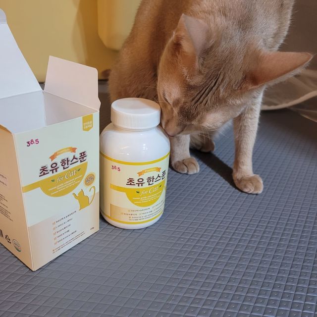안쪼리 on Instagram: "#협찬 #고양이영양제 #고양이영양제추천 #초유영양제 38.5에서 반려동물 전용 면역 영양제 초유한스푼을 보내주셨어요! 초유한스푼은❓ ✔고단백 영양식으로 면역력, 원
