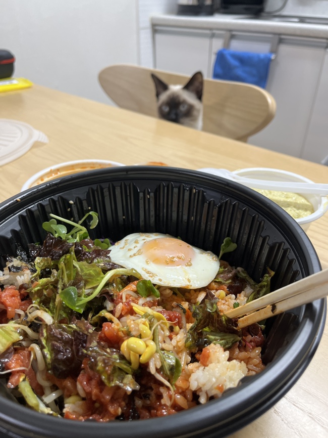 성남 남한산성입구 혼밥 배달 맛집, 혼밥에 빠진 날(육회비빔밥 후기)