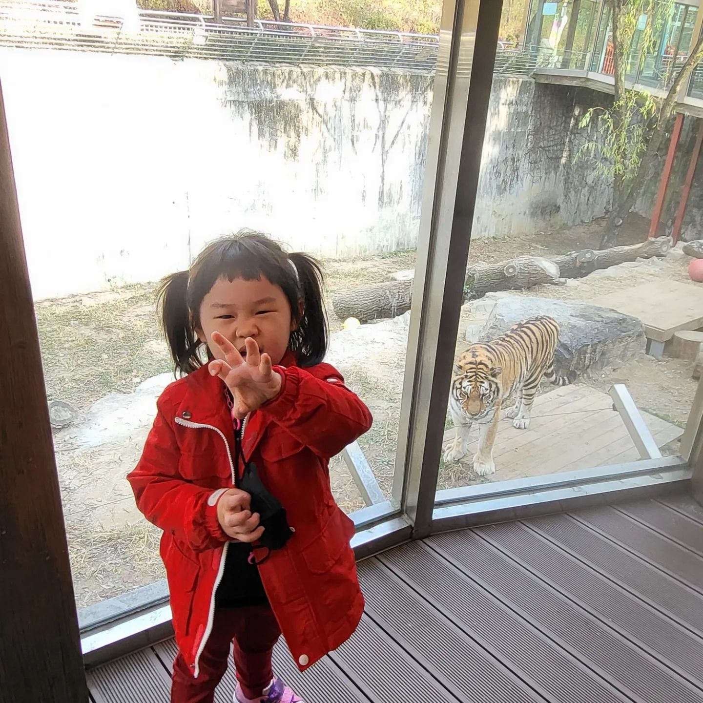 20221109
딸이 젤 가고 싶어하던 오월드!!
아빠 생일 기념?? 은 아니고 딸 위해
아빠랑 할아버지랑 gogogo~~~
세벽4시에 일어나 피곤함을 이끌고
오픈부터 마감까지 신나게 놀았음!! 
역시 겁없는 딸!!
시시한 놀이기구는 흥미 없음 ㅋㅋㅋㅋ
아빤 딸 좀만 더크면 놀이기구 같이 못 탈듯 ㅋㅋㅋ 무섭다 지금도 ㅋㅋㅋㅋㅋ
