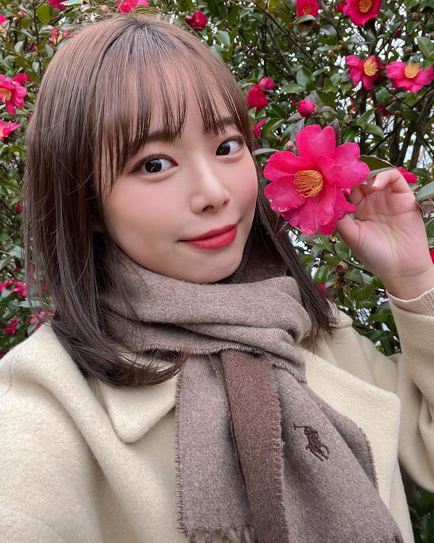 🌺