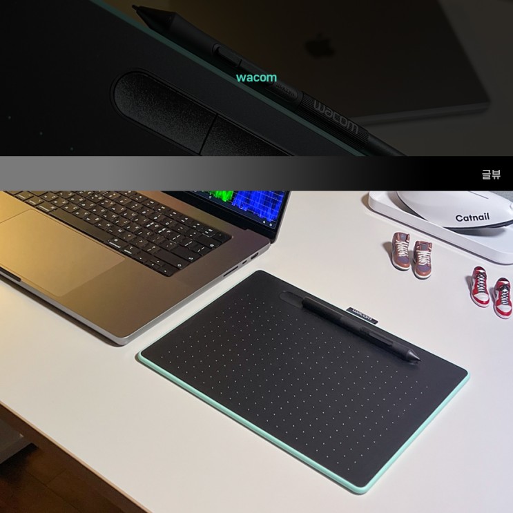 디자이너 필수품 와콤 인튜어스 CTL6100WL