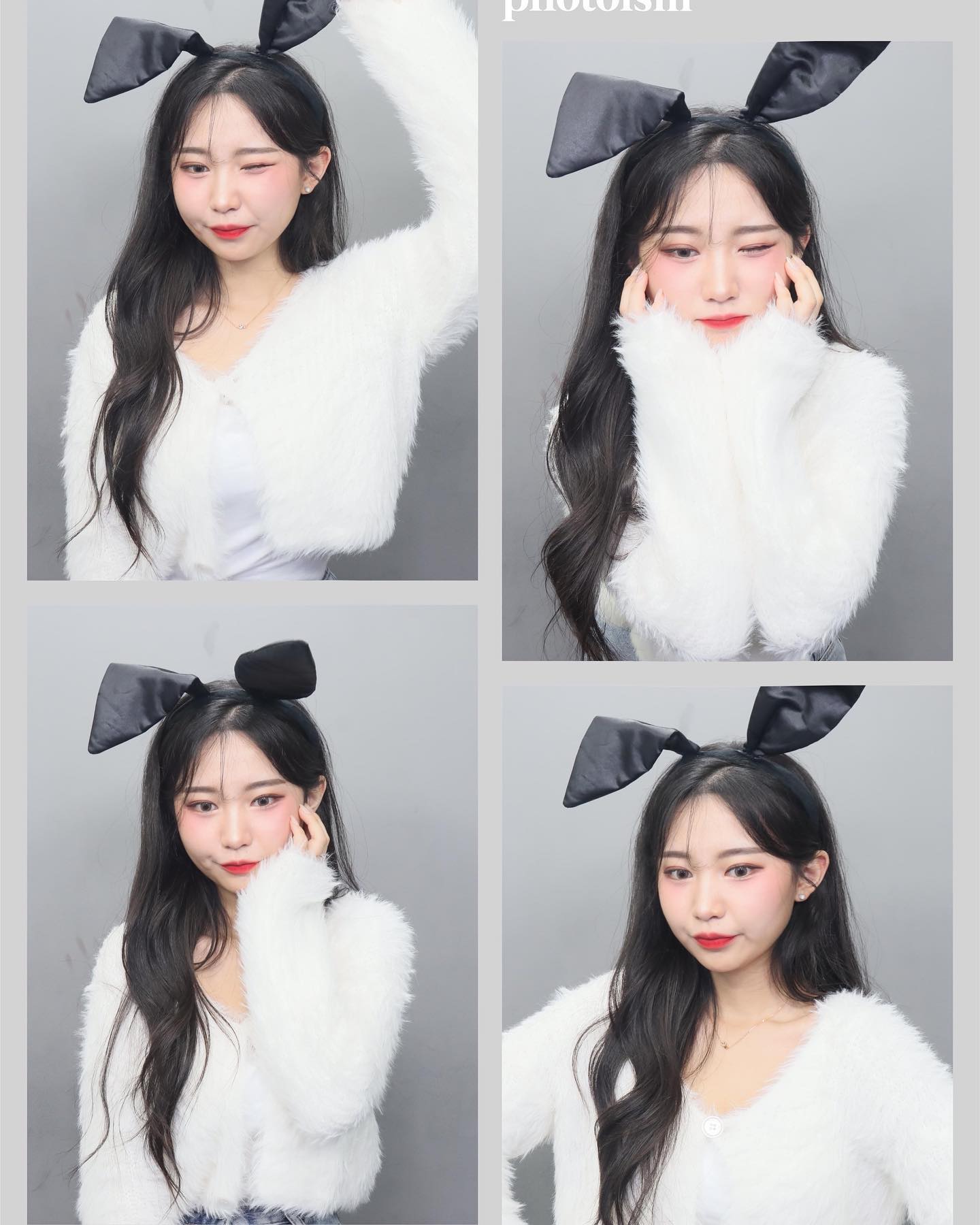 🐰