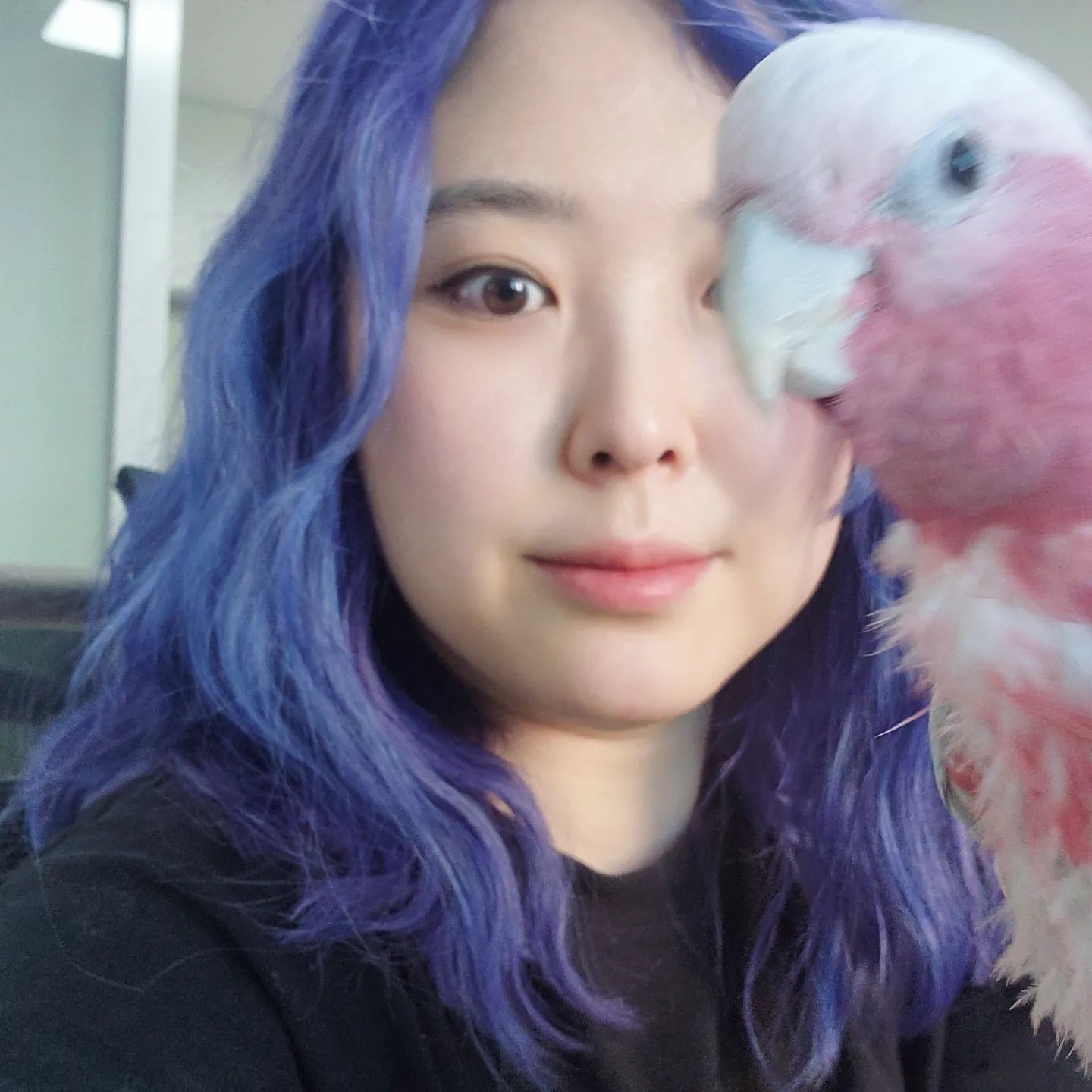 명절 맞이 기분 전환 필요함
베리도 주인도

#명절 #앵무새 #셀카 #30대 #탈색