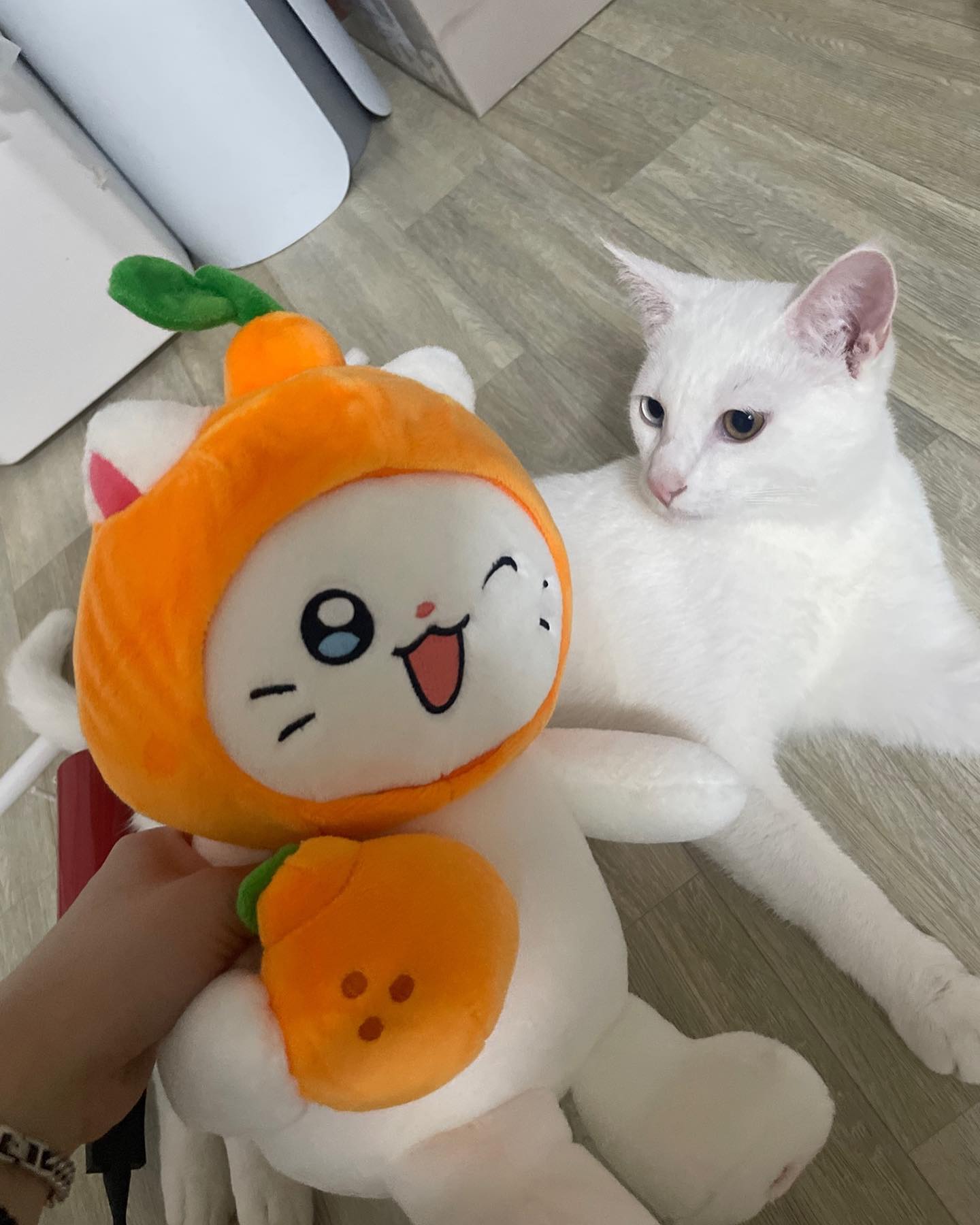 콘텐츠