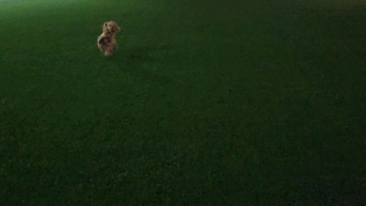 공조하❤