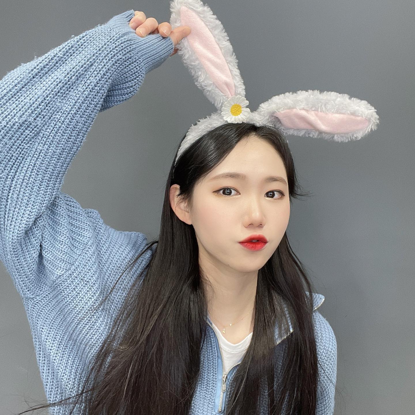 🐰
