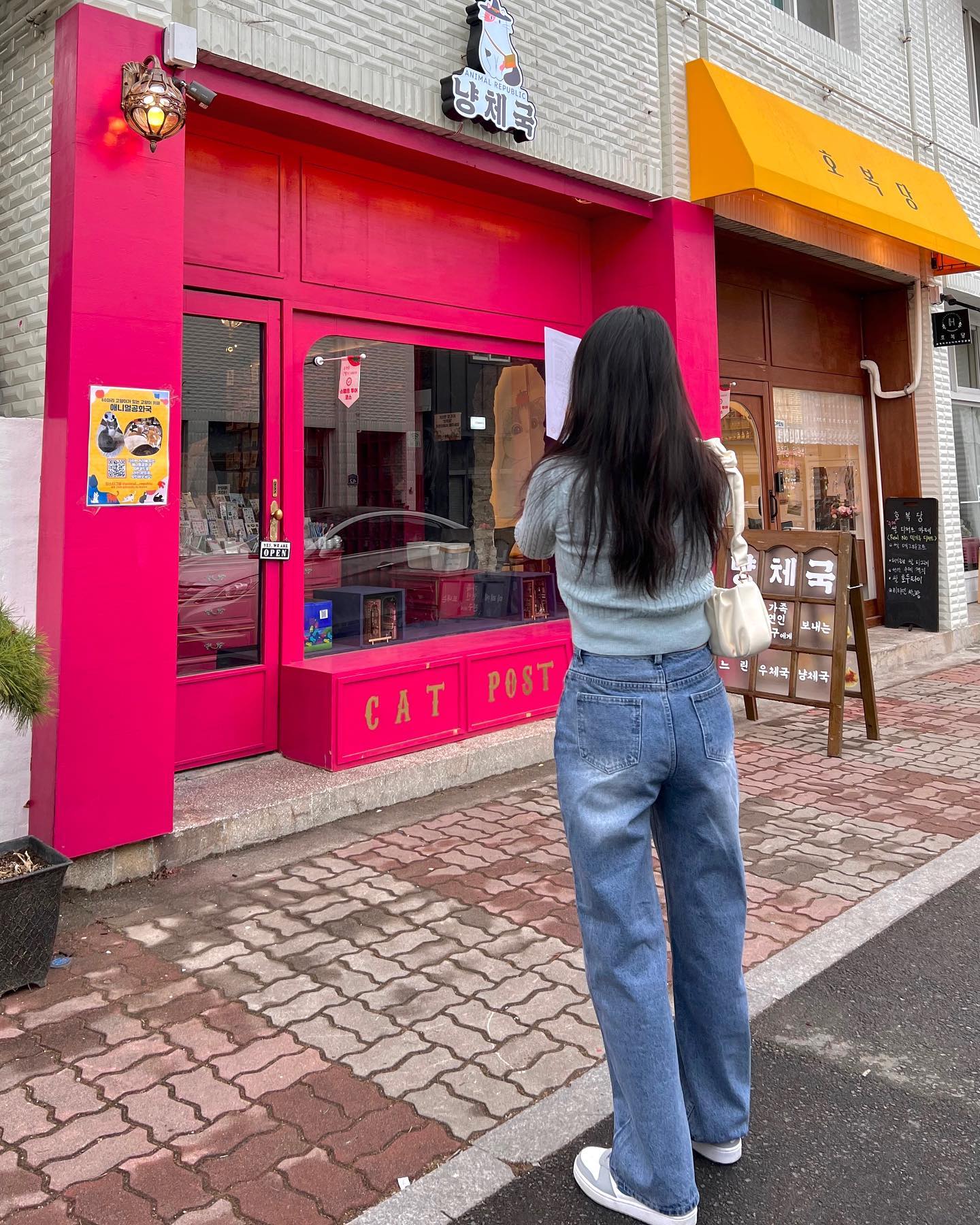 냥이천국🐈