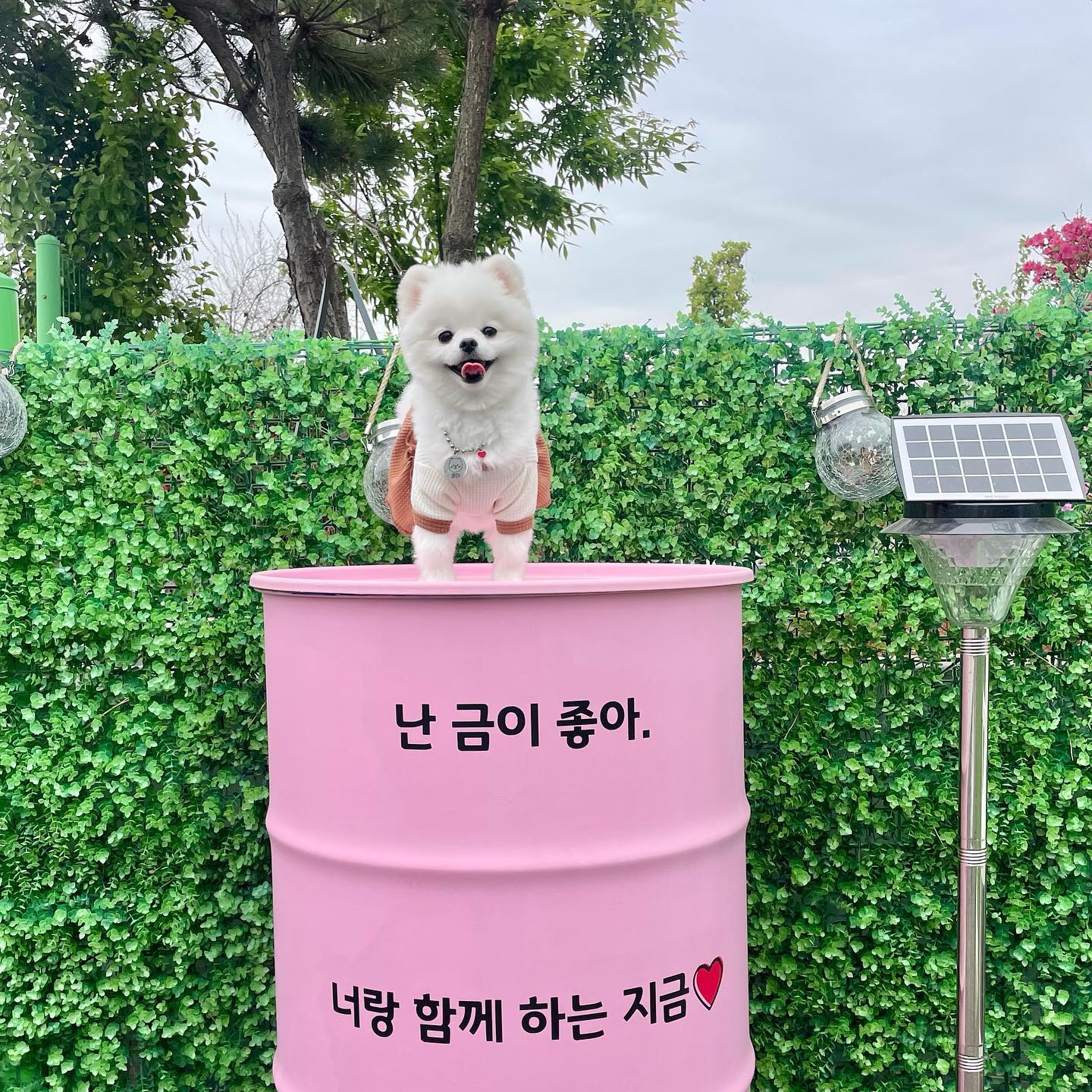 우리 김똥순♥️
하는 짓 보면 여장부….