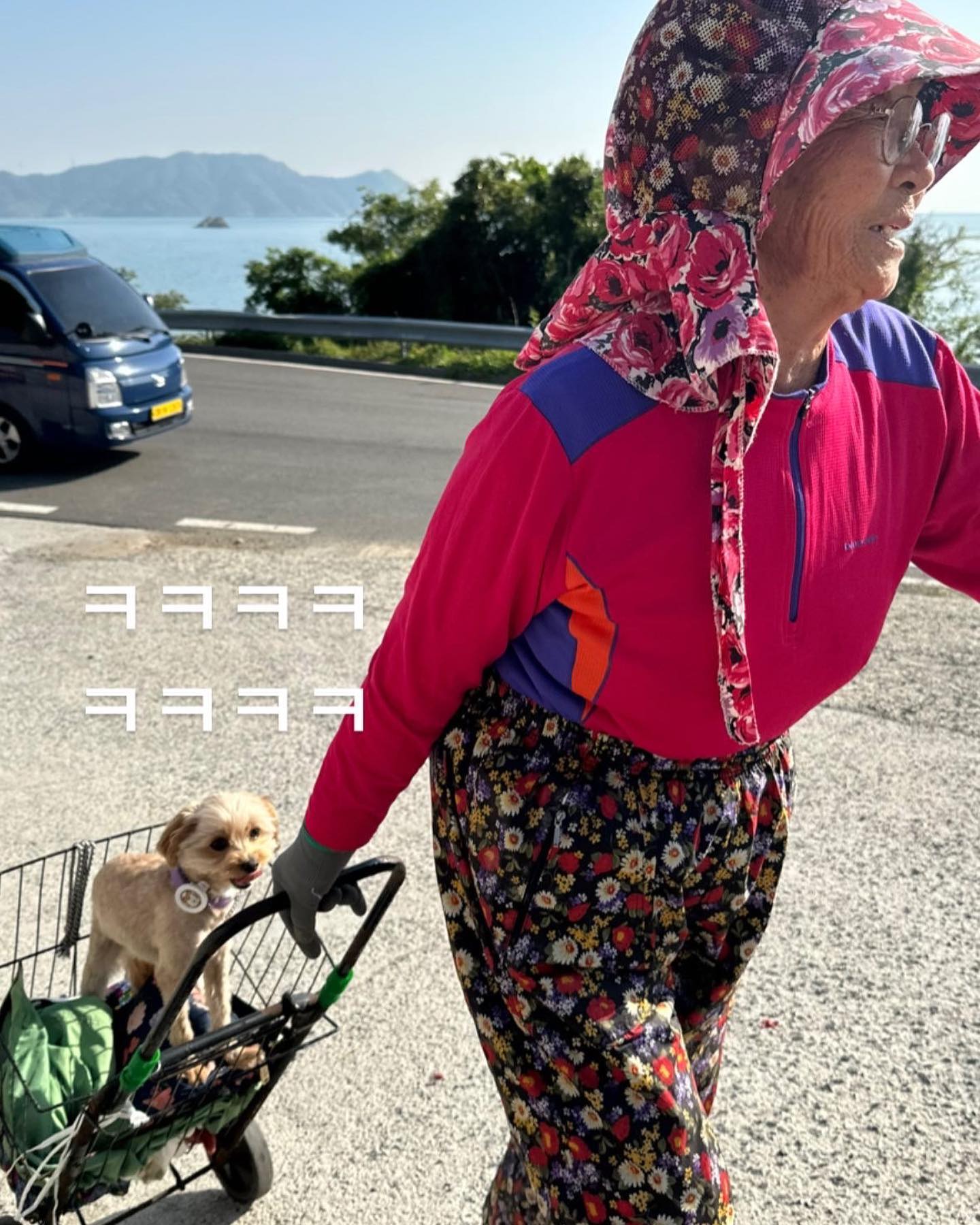 고사리밭 #가보자고