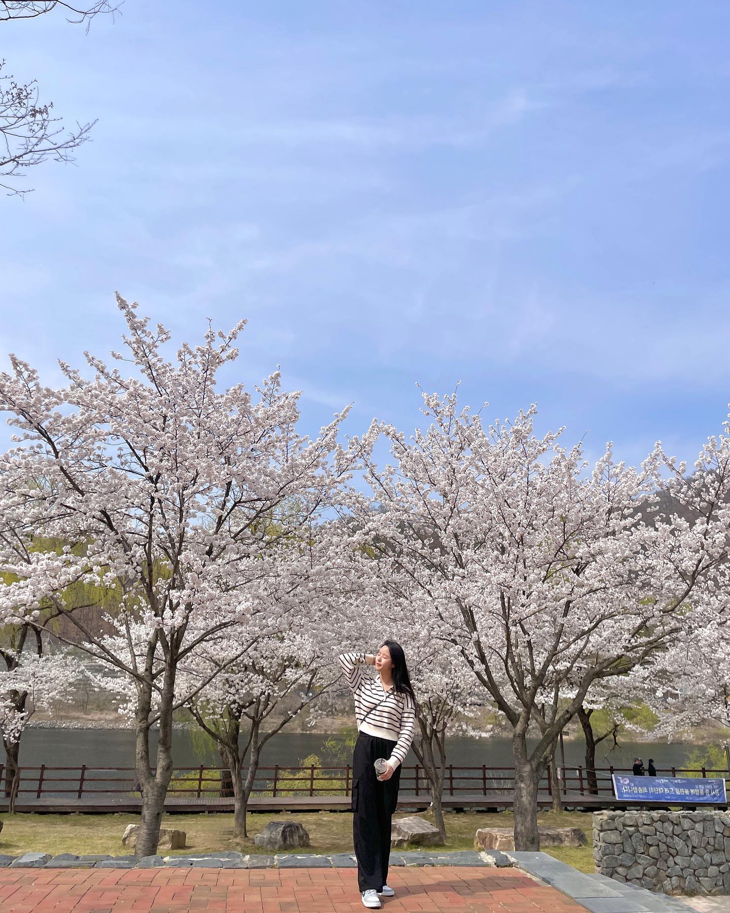 지난 🌸기록 낮ver.