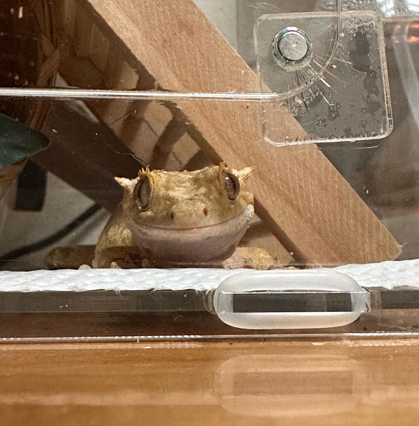 1,2 롱롱 3,4 크롱 5,6 토미 7,8 뿌기 9 애니멀존 🐢🦎🐶