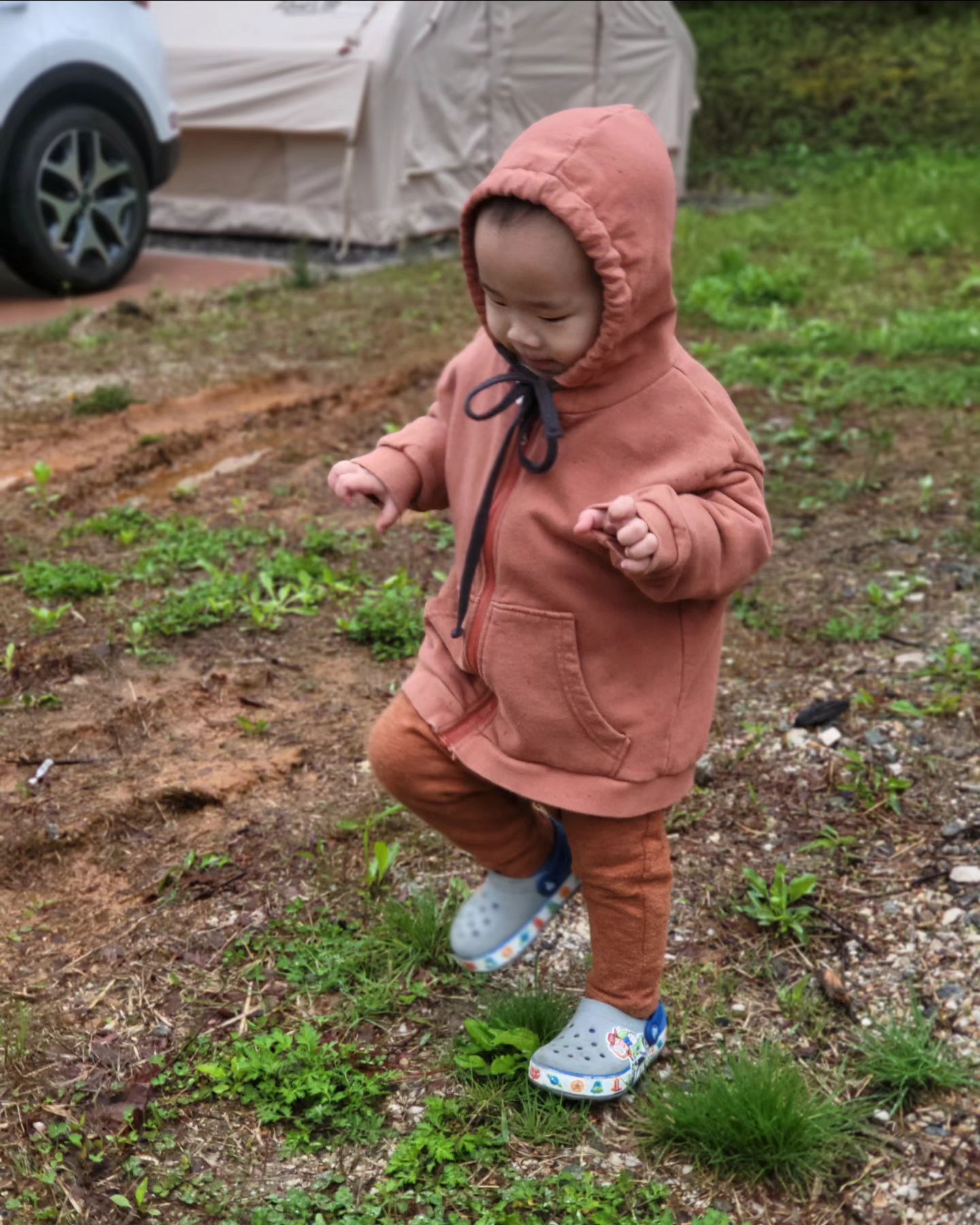 👶
엄마 나 사진찍어죠!
크앙!