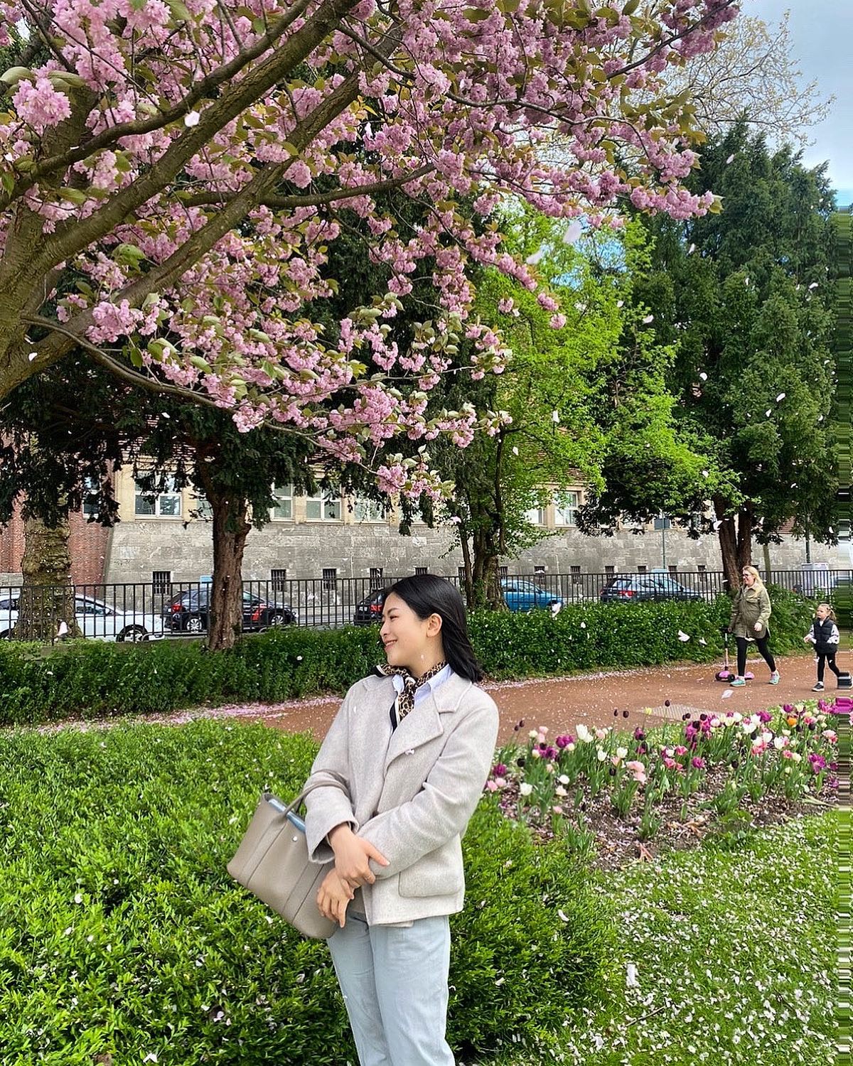 Mein erster Frühling in Deutschland 🌸 #kirschblüten
