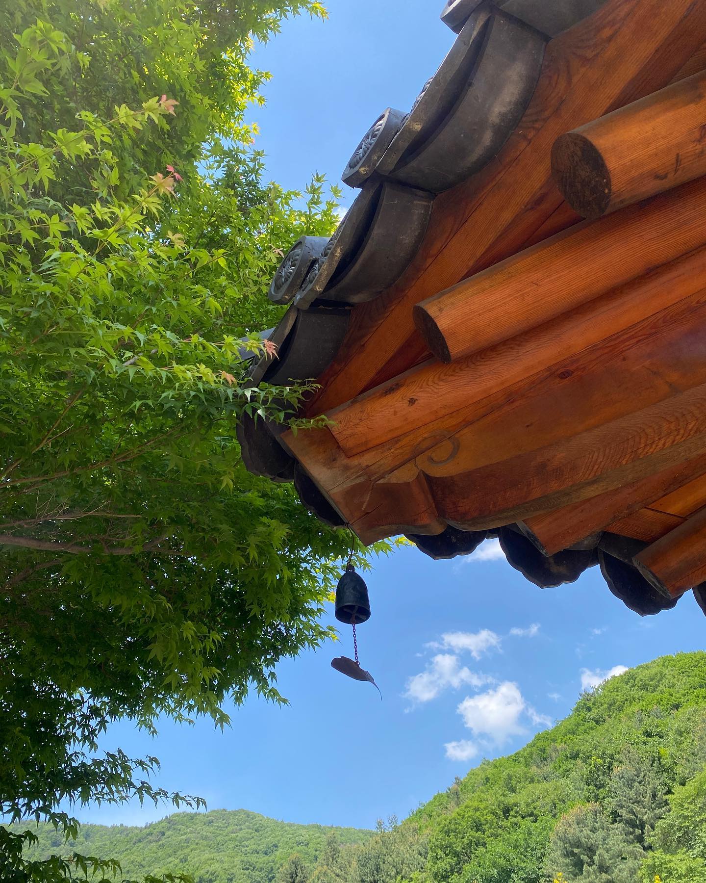 날씨가 너무 좋았던 화담숲🌳🌲
+막걸리 먹고 취함🥴