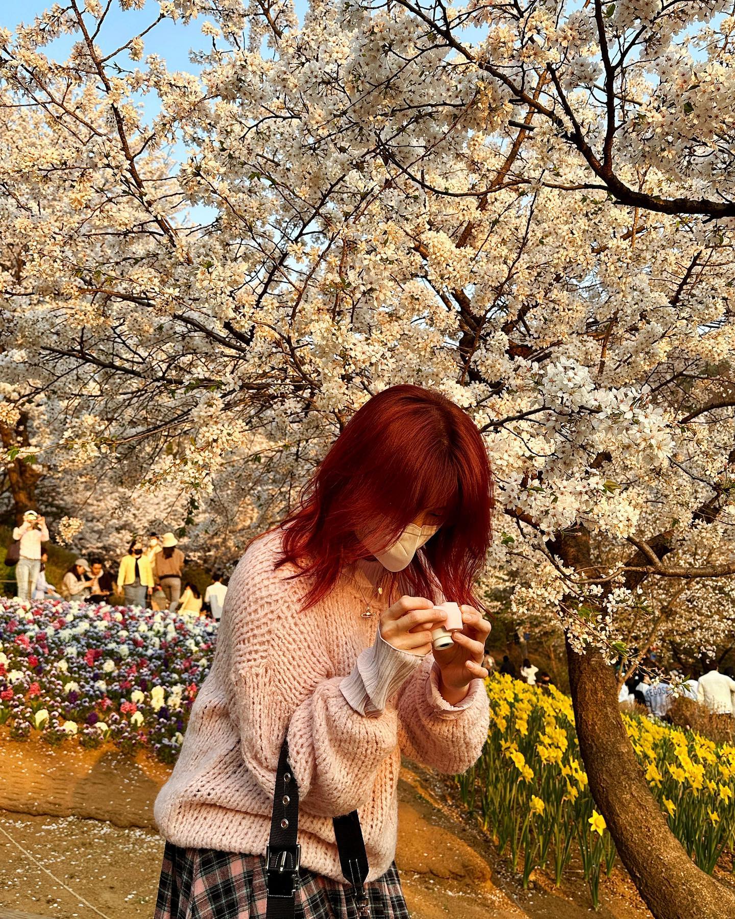 과제빼고 다 재밌어서 피드정복 🌸

#4월 #한달전 #벚꽃 #연희동 #연희숲속쉼터 #깁스풀고 #보호대함 #다시 #빨간머리