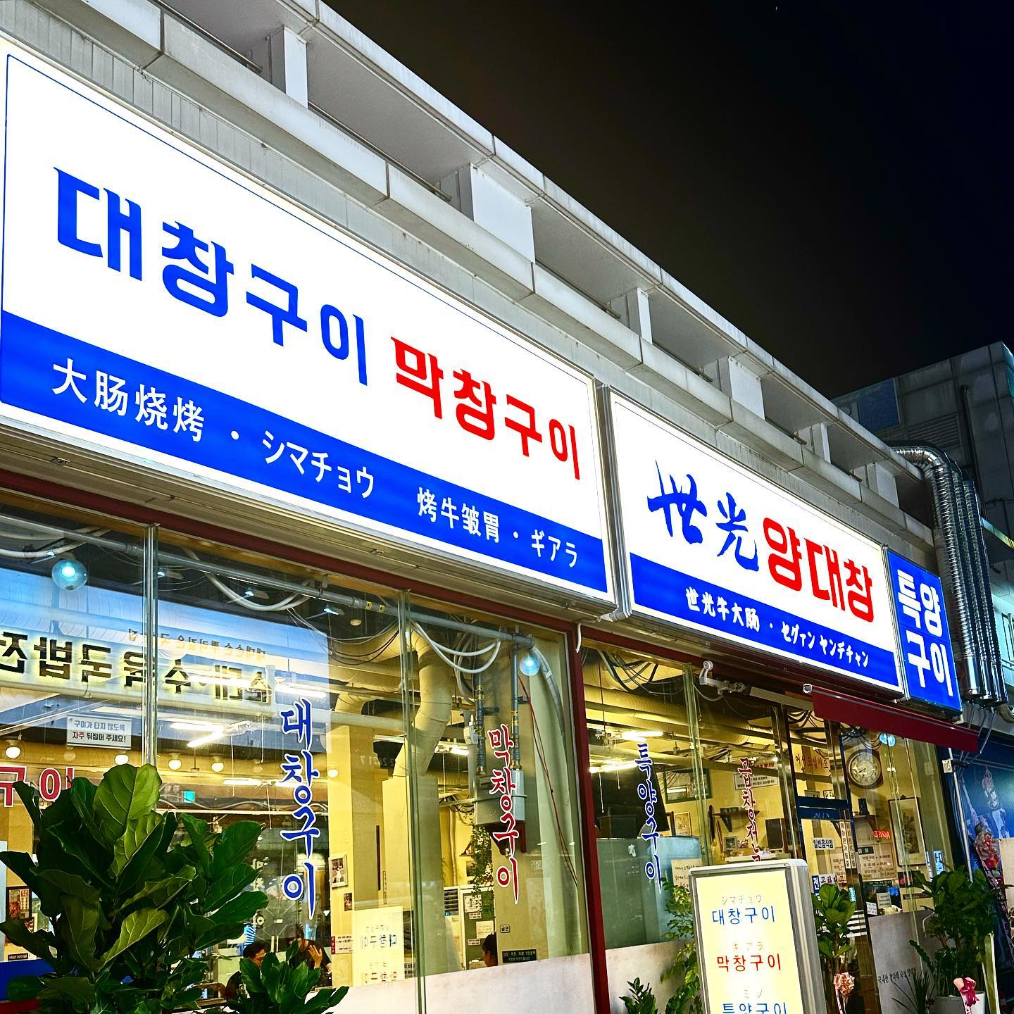 #광고 #세광양대창 #세광양대창문래점

제가 먹어도 세광양대창중에 제일 맛있고 환경도 너무 쾌적해요 완전 추천!
특제 소스에 양념된 부드럽고 고소한 양대창을 (철판이 아닌) 숯불에 구워 먹는 이색적인 스타일이며, 은은한 숯 향이 더해져서 그런지 너무 맛있어요! 특히 문래점이 진짜 맛있네용❤️

#문래역맛집 #문래창작촌곱창맛집 #곱창맛집 #데이트맛집 #맛스타그램 #먹스타그램🍴