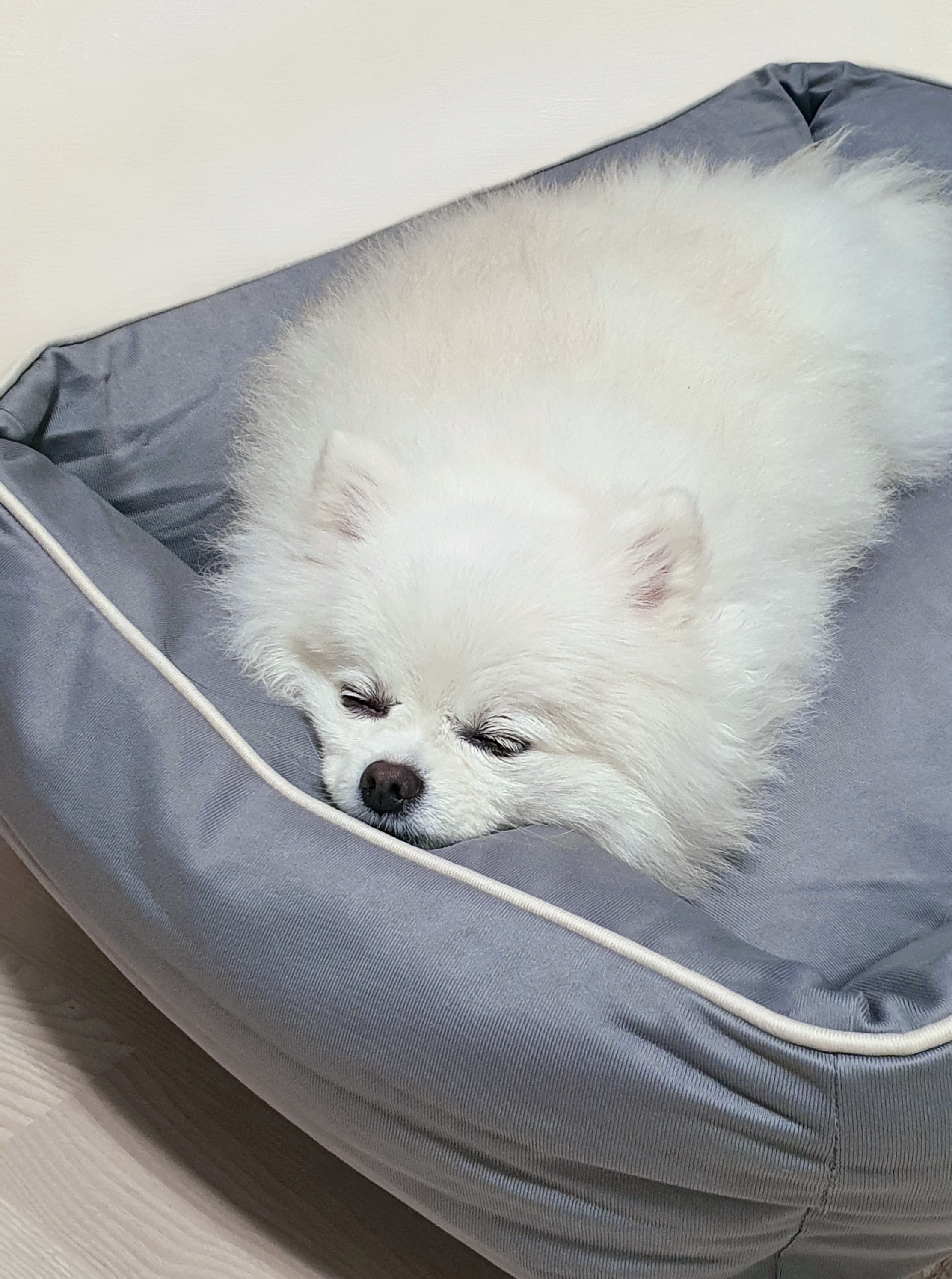 라니온