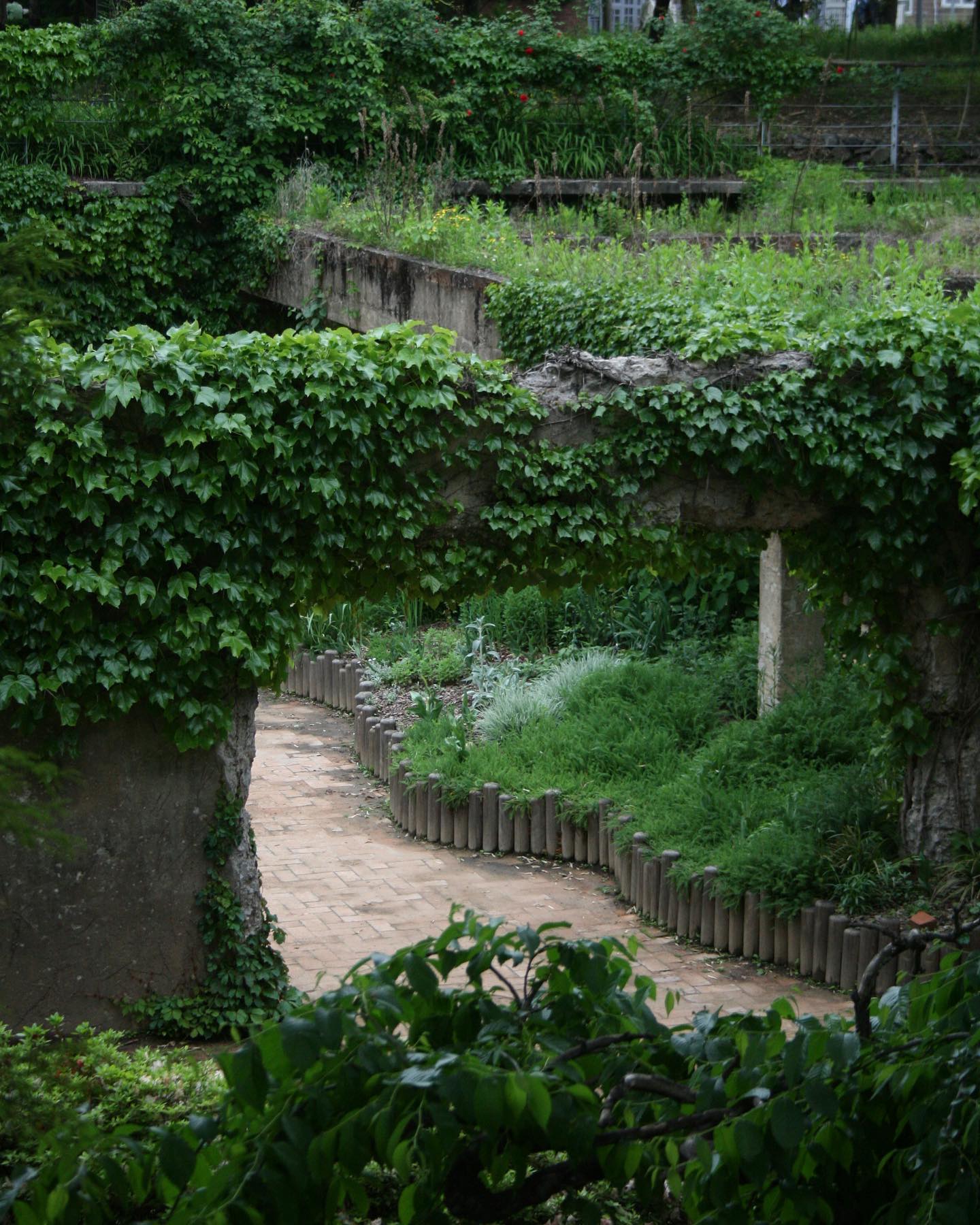 풀숲미로