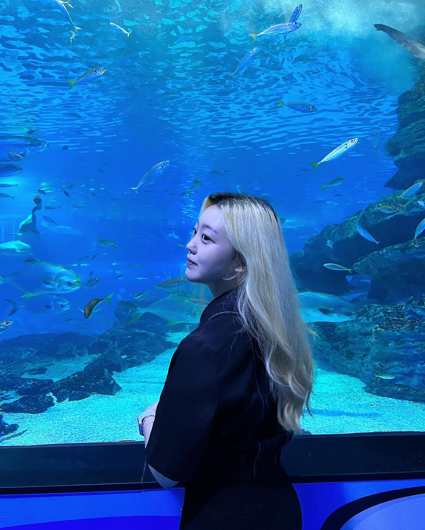 안녕 물고기친구들~