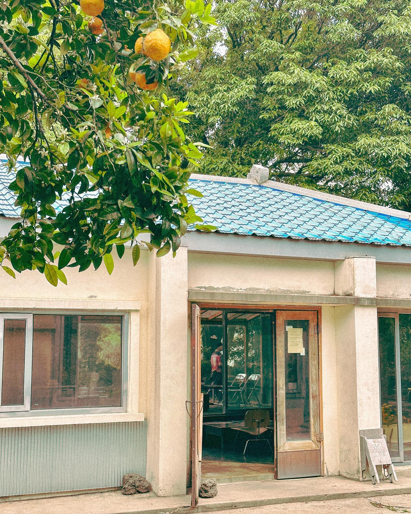 풀내음 가득한 제주스런 숲카페, 풀베개🌿
여기선 시간이 천천히 가는 느낌
 
🏷️ 풀베개
📍 제주 서귀포시 안덕면 화순서서로 492-4
⏰ 매일 10:00 ~ 20:00
(소금빵 보다는 다른 메뉴 추천해요)

 
#트래블로미_제주 
#제주여행 #제주카페 #서귀포카페 #풀베개