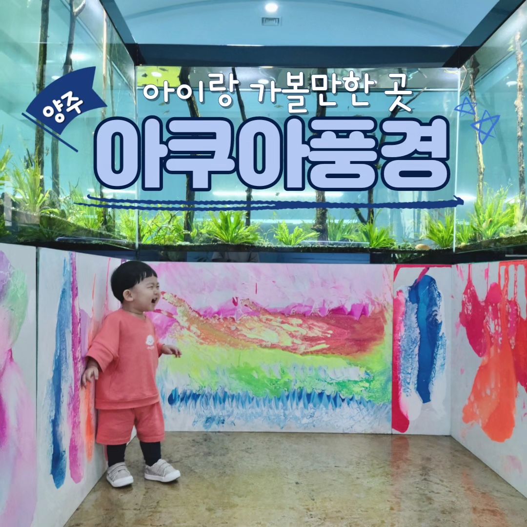 양주 수족관 카페

#양주 #아쿠아풍경 #아이랑갈만한곳

동물보다 물고기 좋아하는 시우한테 너무 좋았던 곳!!
주말에 다녀왔는데 사람이 별로 없어서 눈치 안보고 신나게 놀고 왔어요😆

수족관 카페답게 다양한 물고기들을 볼 수 있고 테이블도 많아서 자리는 넉넉했어요
큰 물고기는 없지만 종류가 다양해서 구경할 맛이 났어요

야외에 연못있고 포토존도 있어요👍

음료랑 빵도 있었는데 막 맛있진 않았어욬ㅋㅋ
그래도 저는 재방문할 예정입니다
시우가 너무 너무 좋아했어요😍

🚩양주 아쿠아풍경
 (경기 양주시 율정동 618)
✅️ 매일 10:00~20:00 / 매주 월요일 휴무
✅️ 전용 무료 주차장
✅️ 어항 및 물고기 구매가능