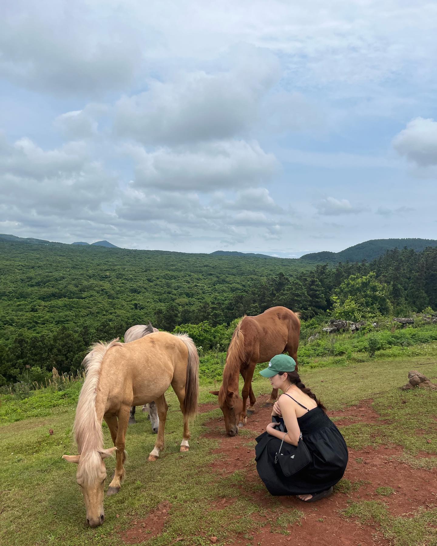 이만큼 가까이가면 말한테 차이는수가있음🐎
ㅋㅋㅋㅋㅋ 무서어
