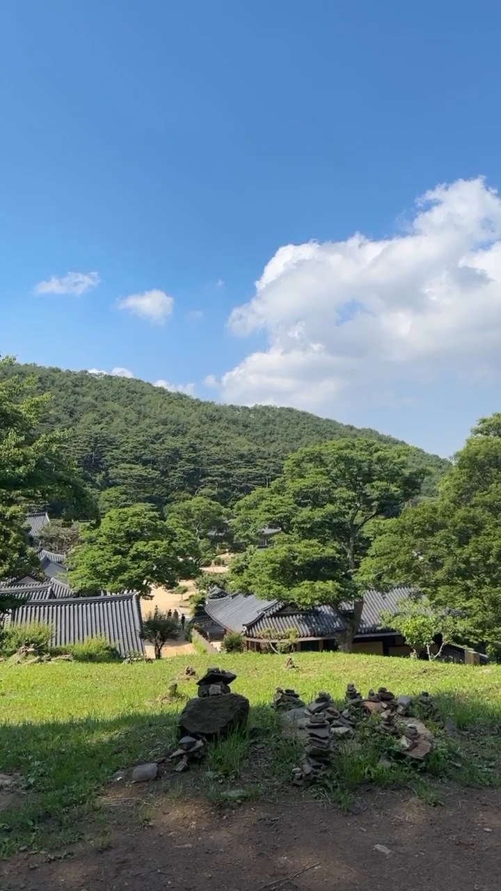 날씨 좋은날 조용히  자연느끼기🏞️