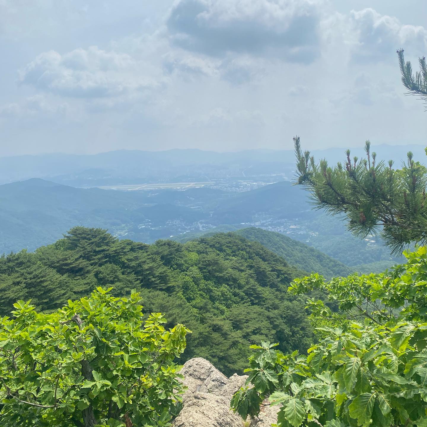 비 예보로 우중산행일 줄 알았는데 날씨도 좋고 사람도 없던 청계산