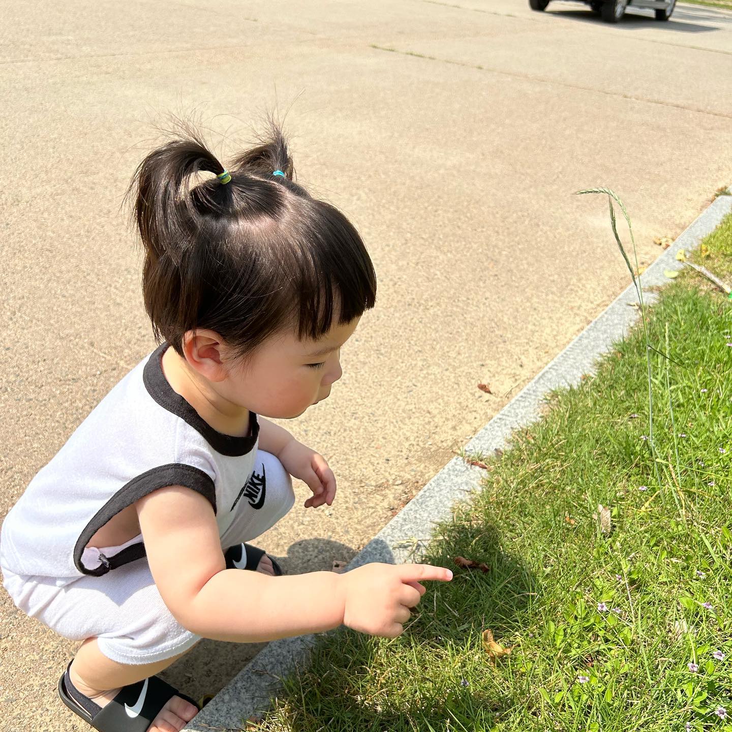토요일 슬우랑 해운대수목원 🌳🐑🫏