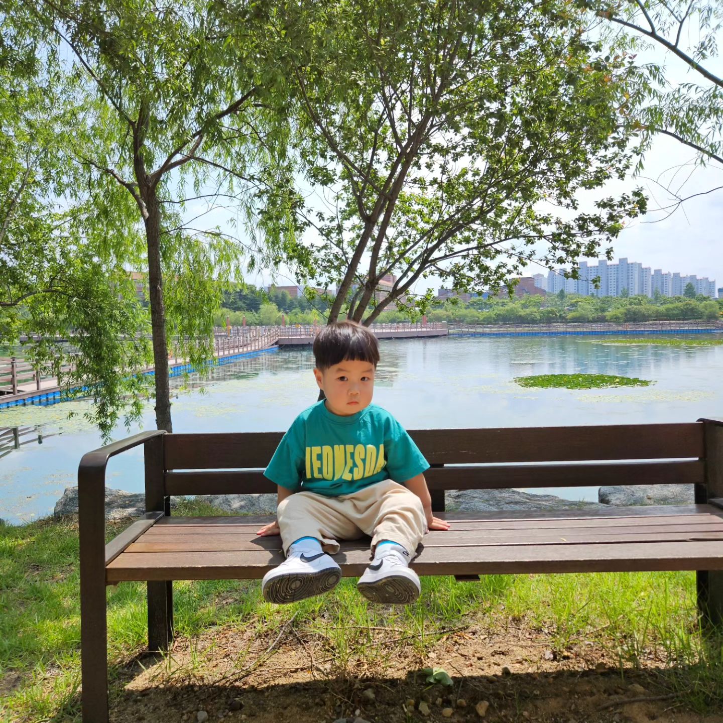 햇님이 쨍쨍