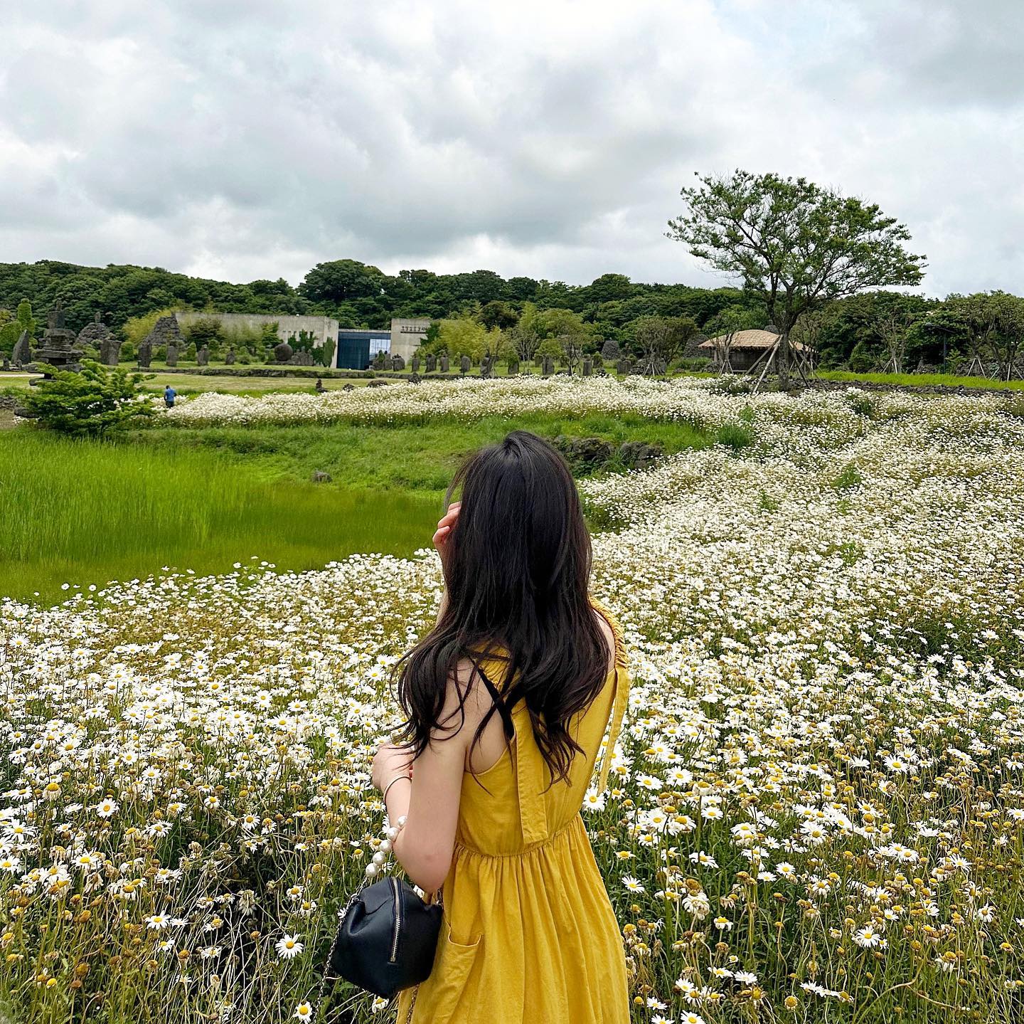 손 많이 가는 강세은의 제주도 여행기 🏝️

✋🏻✋🏻✋🏻
jin.a.jh ✈️
24 🏡
012 🍽️