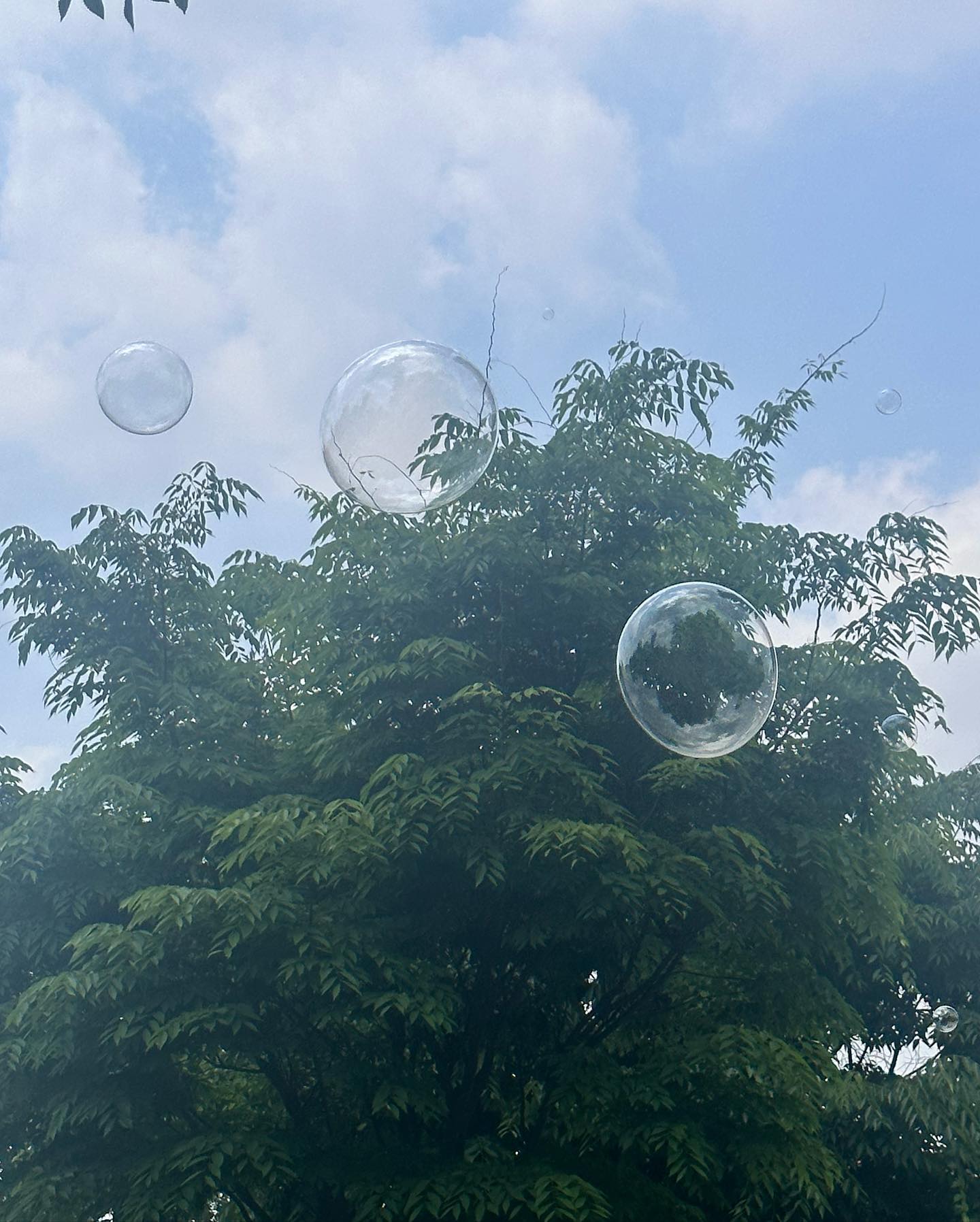 삼초 만에 지나가버린 삼월부터 오월까지🌱