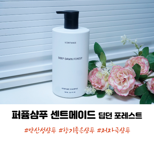 약산성샴푸 향기좋은 퍼퓸샴푸 센트메이드 딥 던 포레스트