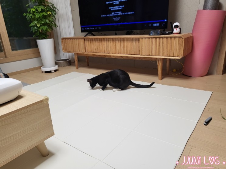 고양이매트 미끄럼방지 폴딩매트 구루구루 슬림핏 펫매트 폴딩형
