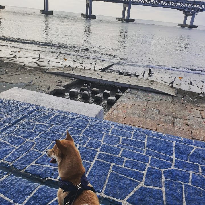 맹구야 보고 싶어