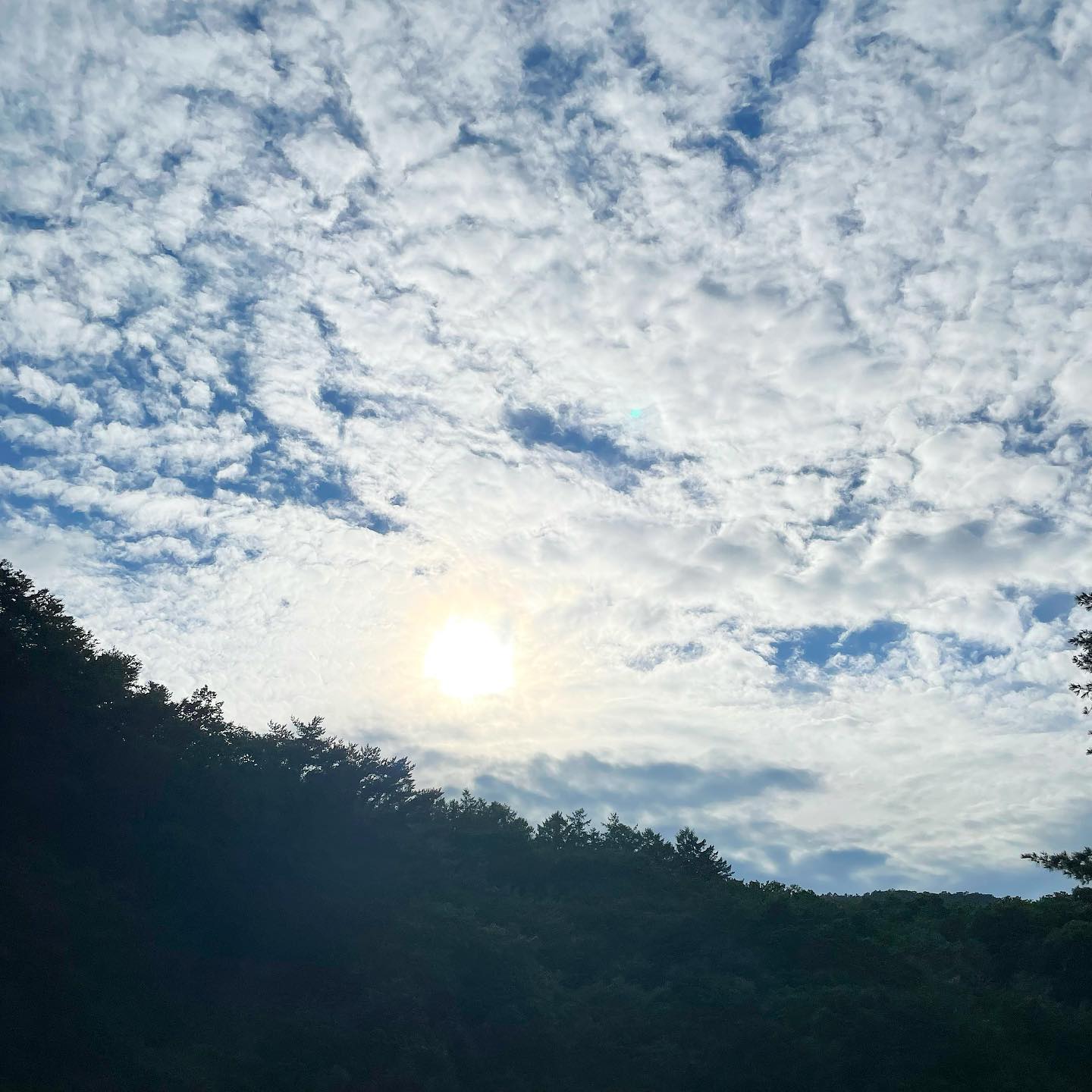_
역시 난 #날씨요정