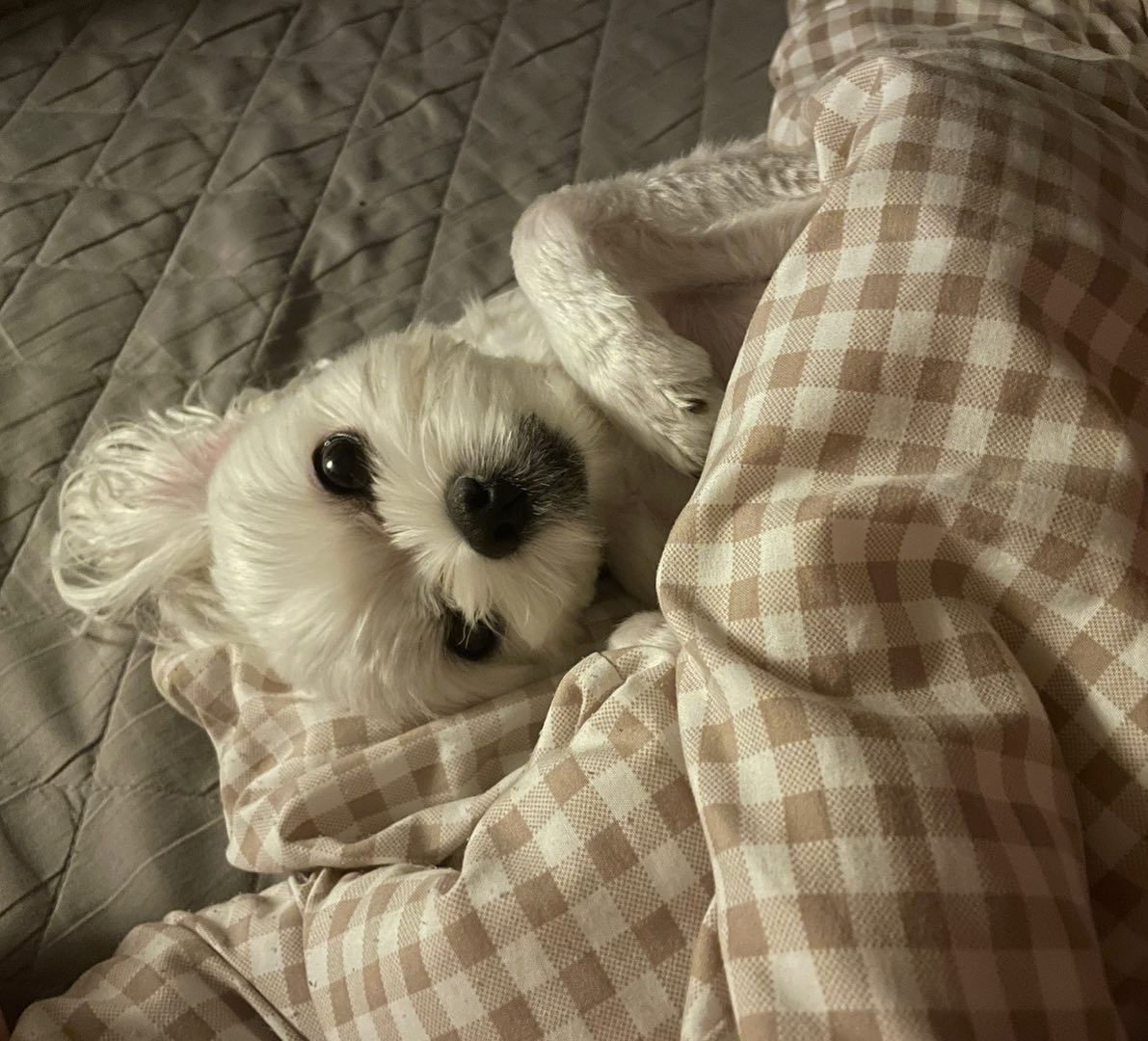 ㄲ ㅏ꿍💕 다들 잘 지내나 몰라