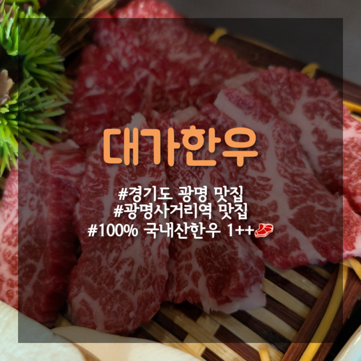 [광명사거리 맛집] 광명맛집으로 소고기 외식하기 좋은 광명한우맛집 _ 대가한우