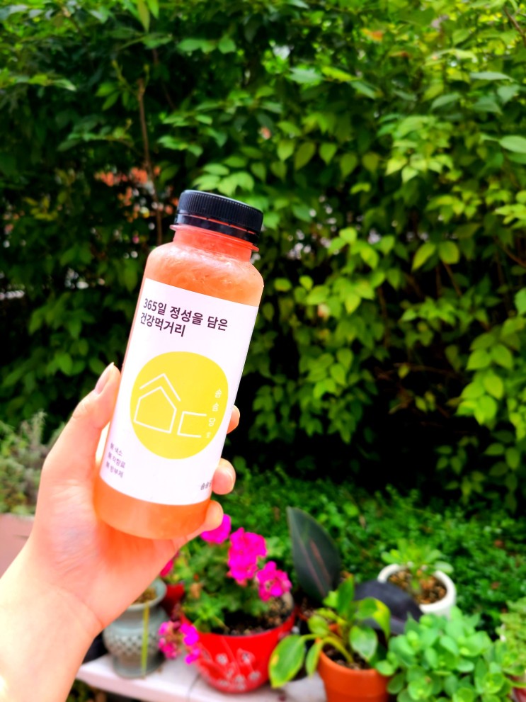 [용인원데이클래스 : 솜솜당] 용인취미로 맛있고 건강한 수제청원데이클래스에 다녀왔어요!